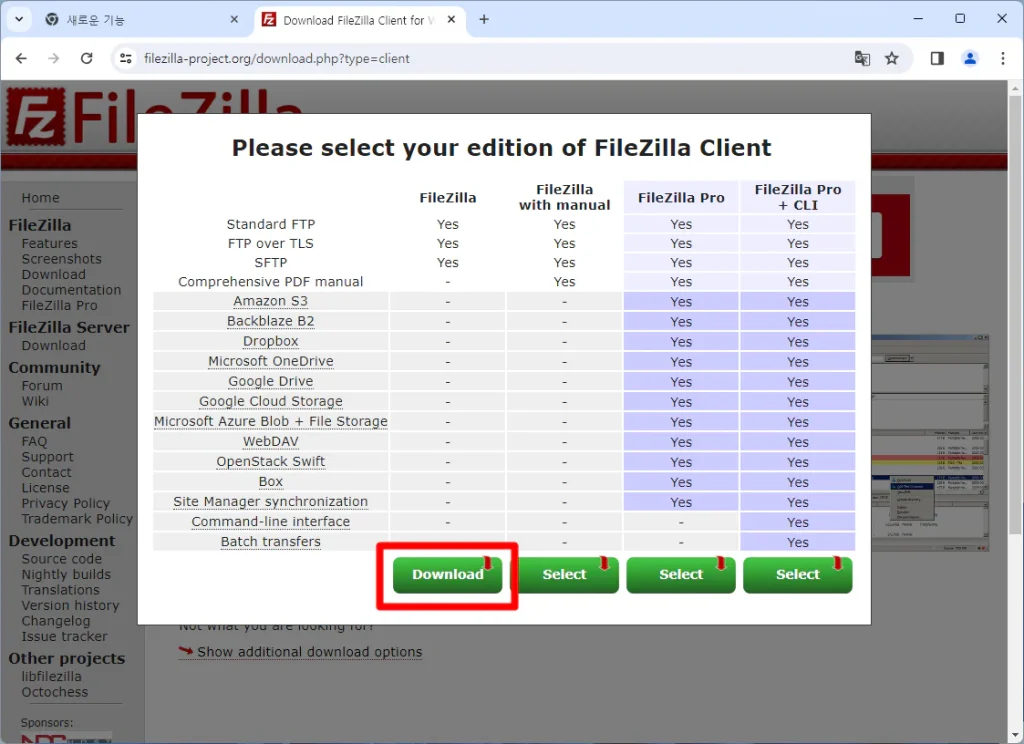 fileZilla FTP 다운로드 옵션