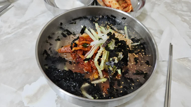 물 회막국수 막국수 딸부자집 딸부자 막국수 강릉 맛집 안인 화력발전소